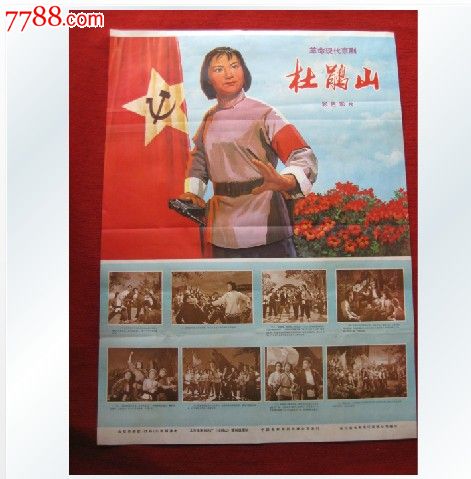本科毕业证号编排有规律吗?
